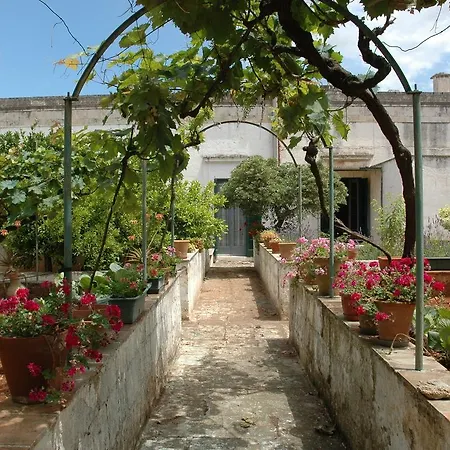 Palazzo In